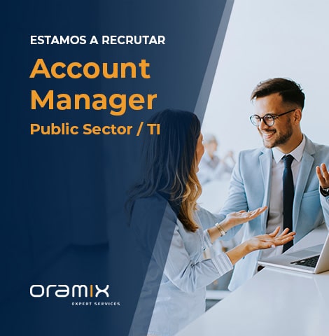 Account Manager Public Sector / TI