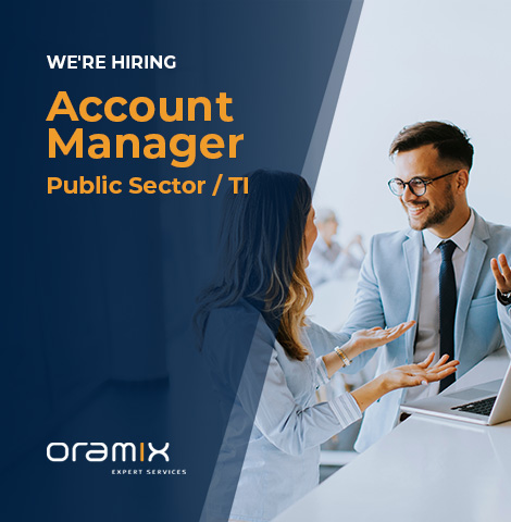 Account Manager Public Sector / IT