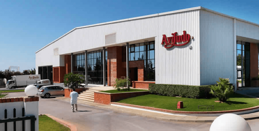 Oramix ensures the integrity of Aviludo’s ERP system with the implementation of Oracle solution